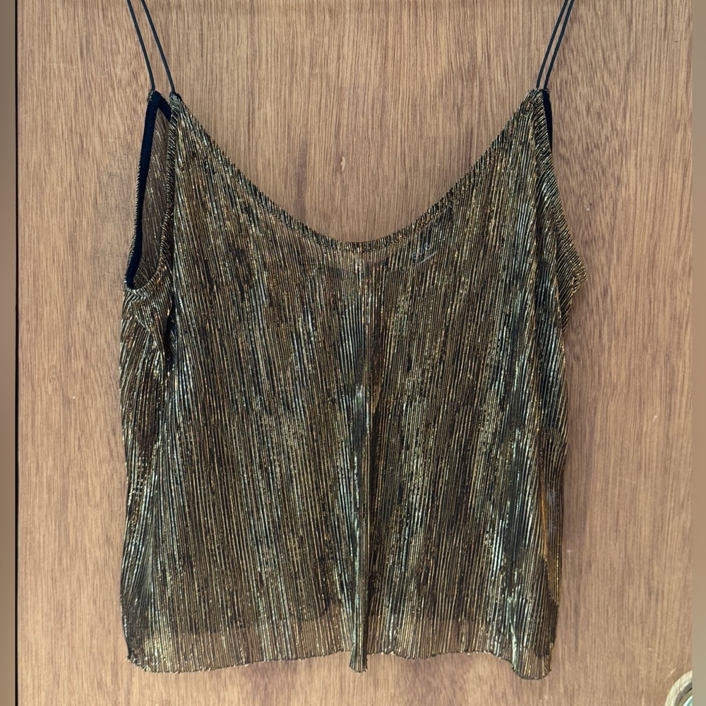 BDG Gold and Silver shimmery Sheer top  sleeveless